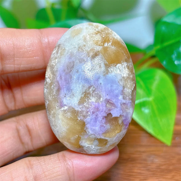 Rainbow Sodalite Palm Stone-ToShay.org