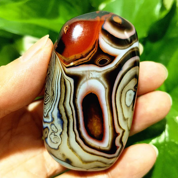 Red Lace Sardonyx Agate-ToShay.org