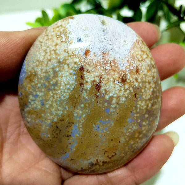 Ocean Jasper Palm Stone-ToShay.org