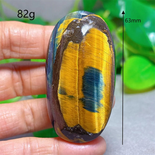 Blue Yellow Tiger Eye-ToShay.org