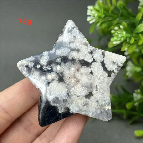 Black Cherry Blossom Agate-ToShay.org