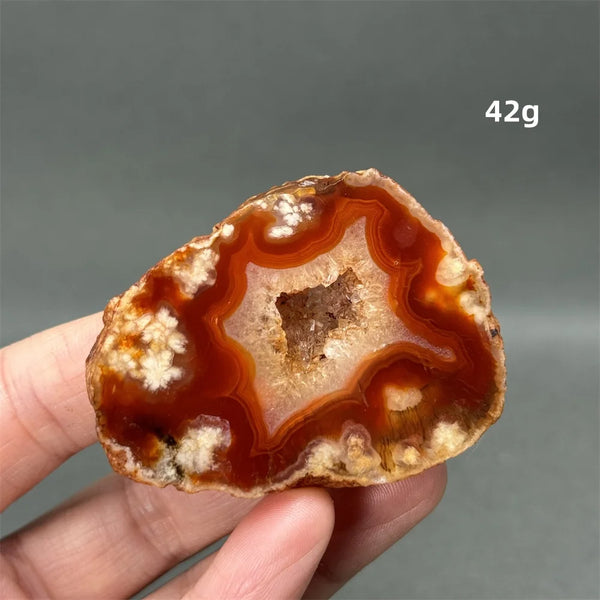 Red Cherry Blossom Agate-ToShay.org
