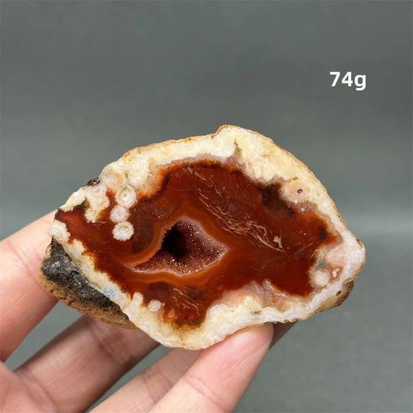 Red Cherry Blossom Agate-ToShay.org