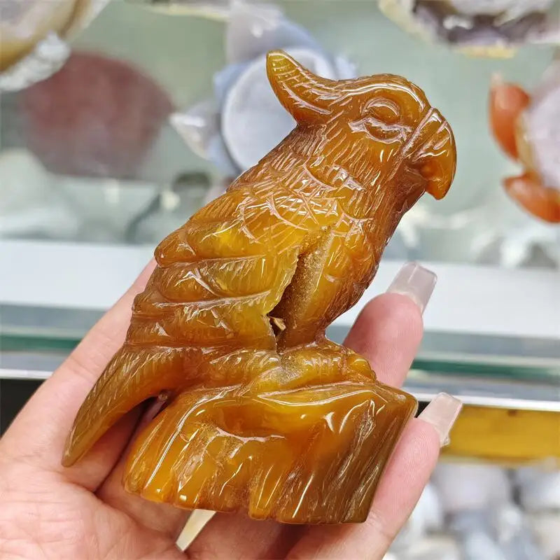 Yellow Agate Geode Parrot-ToShay.org