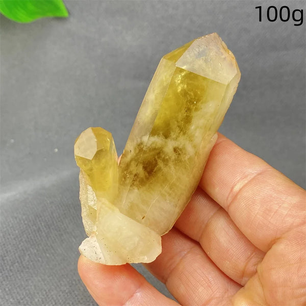 Yellow Black Smoky Quartz-ToShay.org