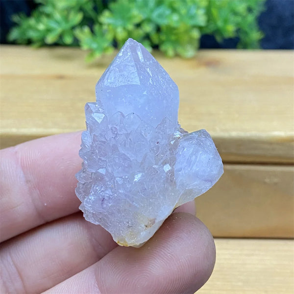 Purple Cactus Crystal Cluster-ToShay.org