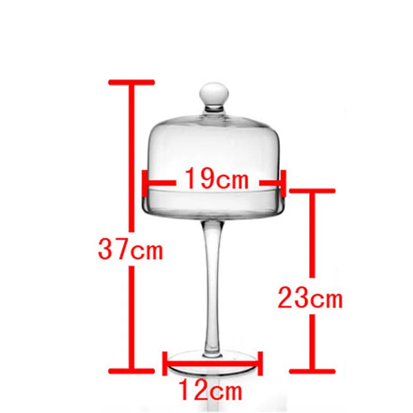 Glass Display Stand-ToShay.org