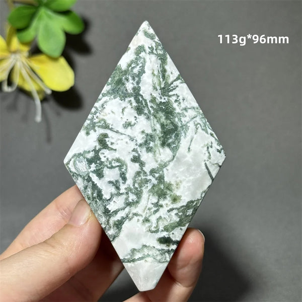 Green Aquatic Plant Agate-ToShay.org