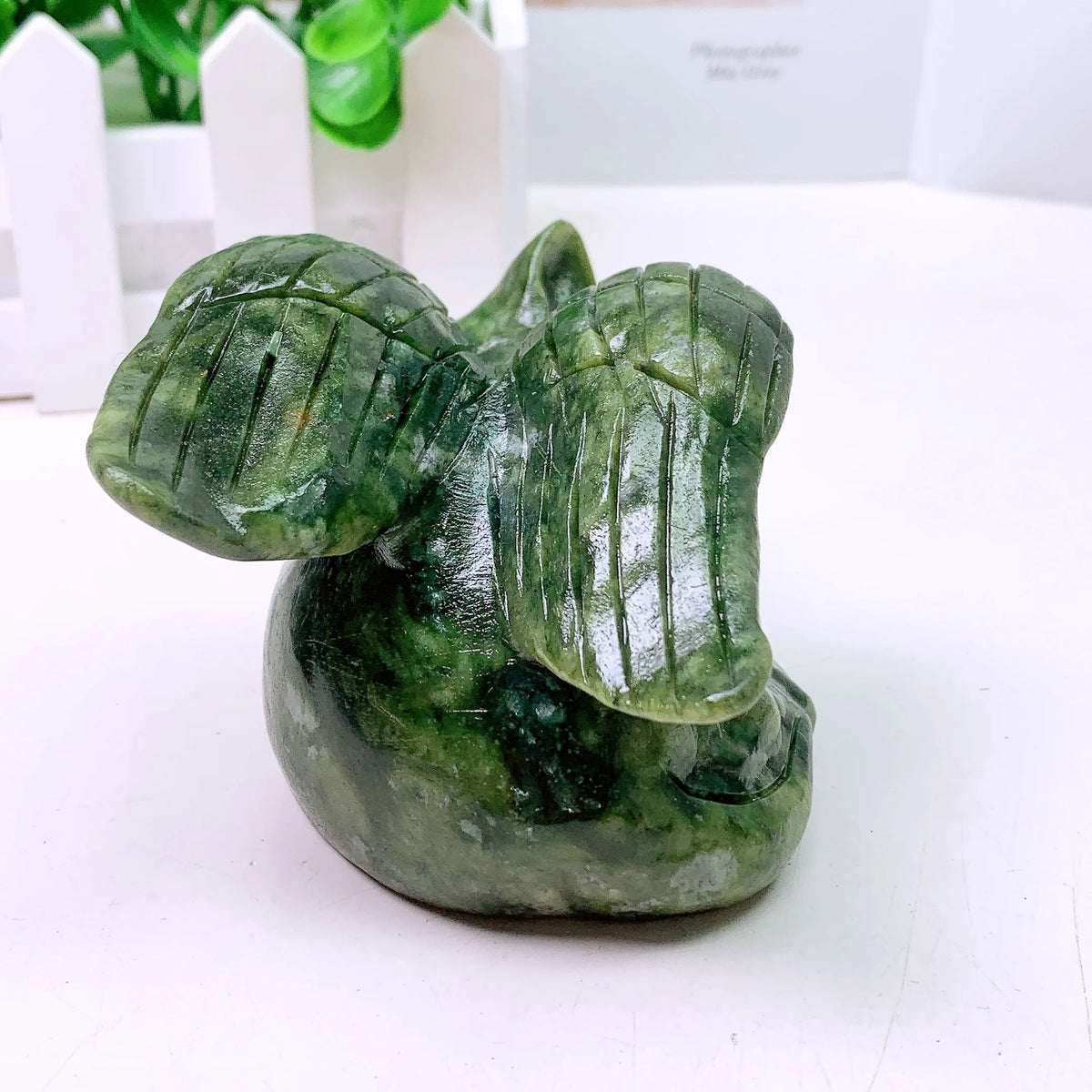 Green Jade Wing Cat-ToShay.org