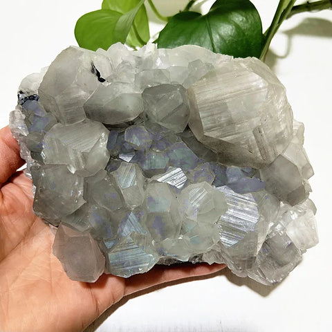 Purple Chrysanthemum Fluorite Crystal-ToShay.org
