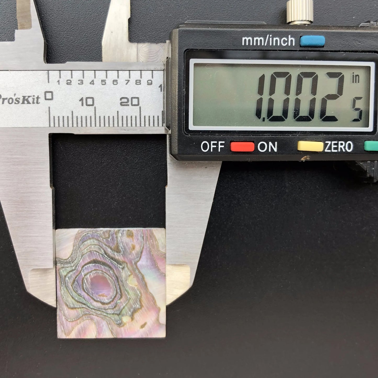 Blue Abalone Square Slice-ToShay.org