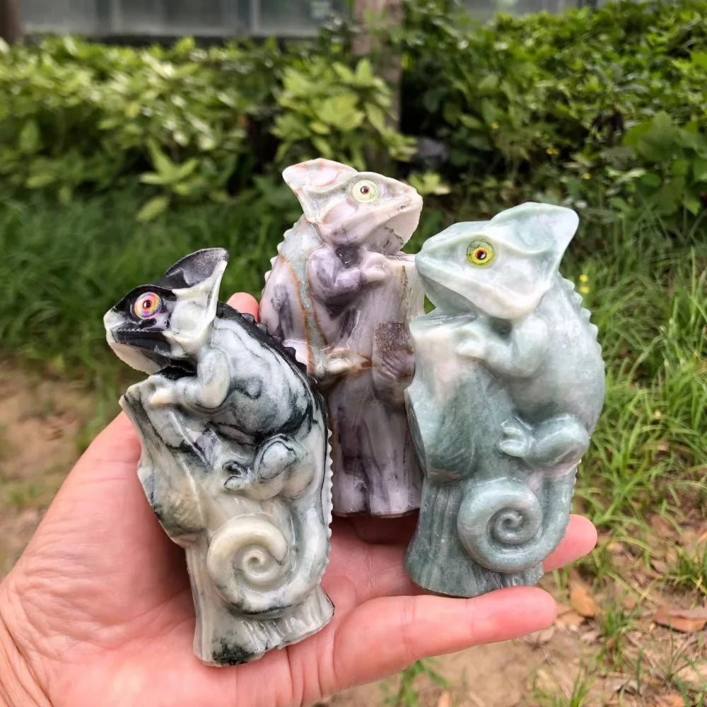 Mixed Jade Lizard-ToShay.org
