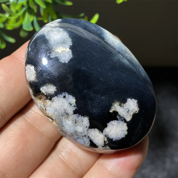 Black Flower Agate-ToShay.org