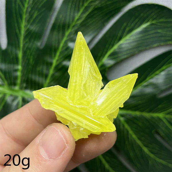Yellow Sulfur Clusters-ToShay.org
