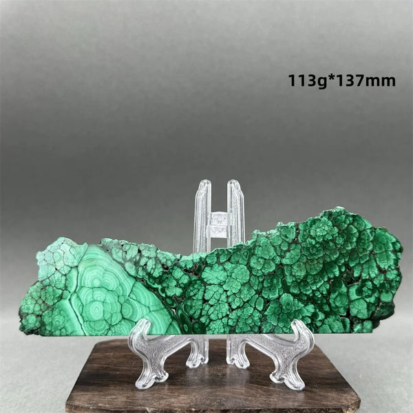 Green Malachite Raw Slice-ToShay.org