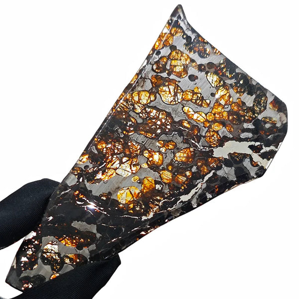 Olive Meteorite Slice-ToShay.org