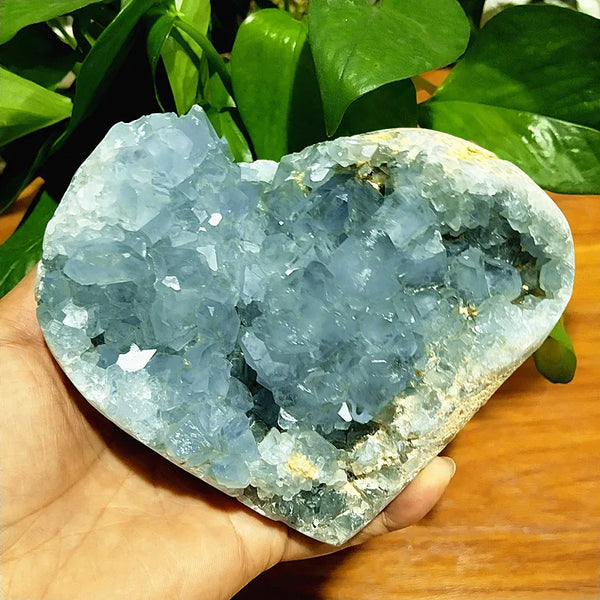 Blue Celestine Geode Crystal-ToShay.org