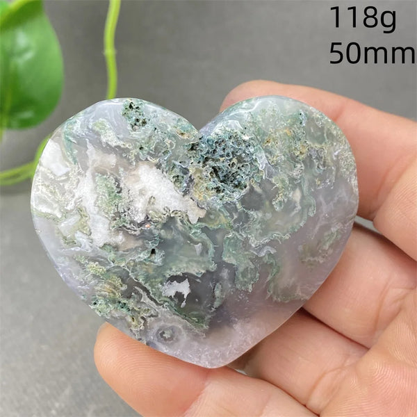 Green Aquatic Plant Agate-ToShay.org