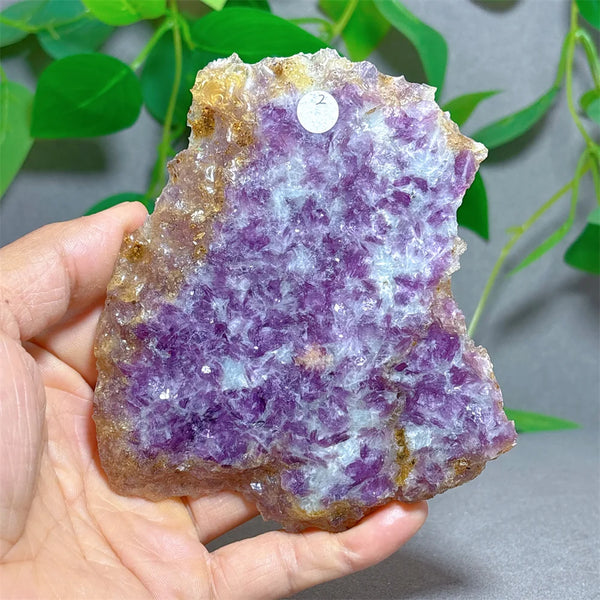 Purple Lepidolite Crystal-ToShay.org