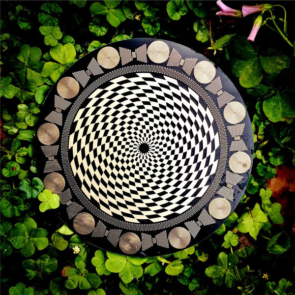 Circuit Board Polarizing Disk-ToShay.org