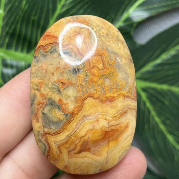 Yellow Crazy Agate Palm Stone-ToShay.org