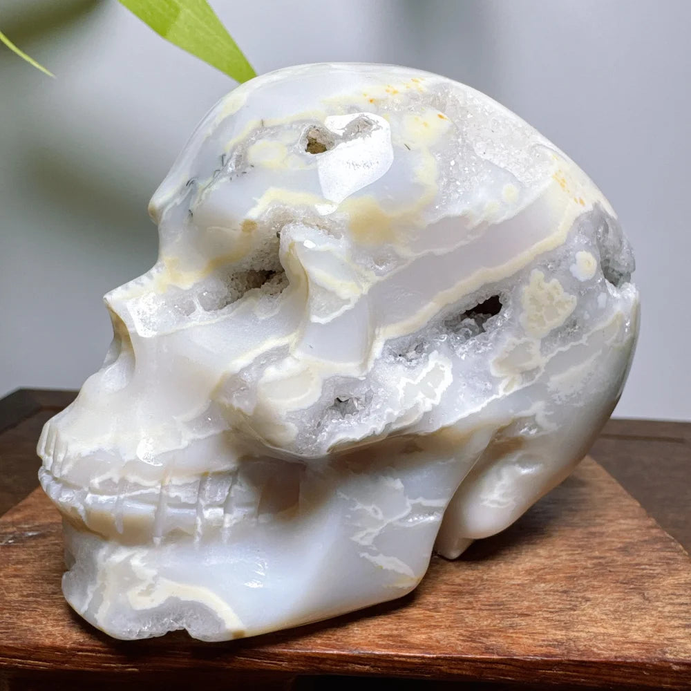 White Agate Geode Cranium Natural Stones Crystals Chakra Skulls Wicca Wichcraft Reiki Healing Gems Minerals Meditation Room-ToShay.org