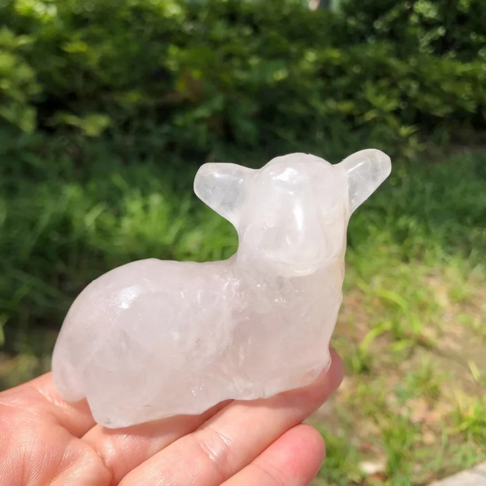 Mixed Crystal Lambs-ToShay.org