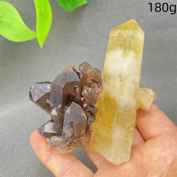 Yellow Black Smoky Quartz-ToShay.org