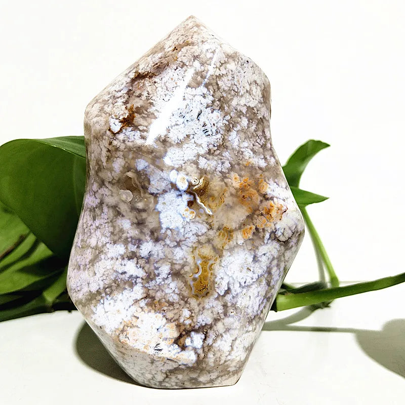 Ocean Jasper Point Flame-ToShay.org