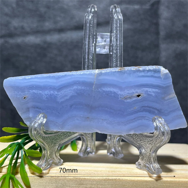 Blue Lace Agate Slice-ToShay.org