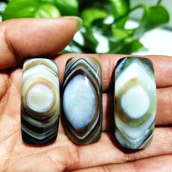 Mixed Eye Agate-ToShay.org