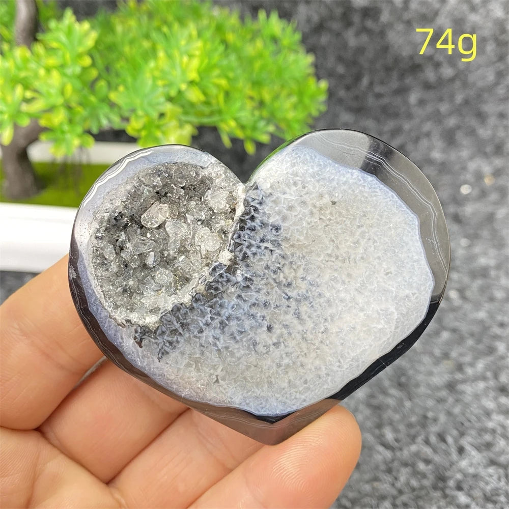 Black Agate Geode-ToShay.org