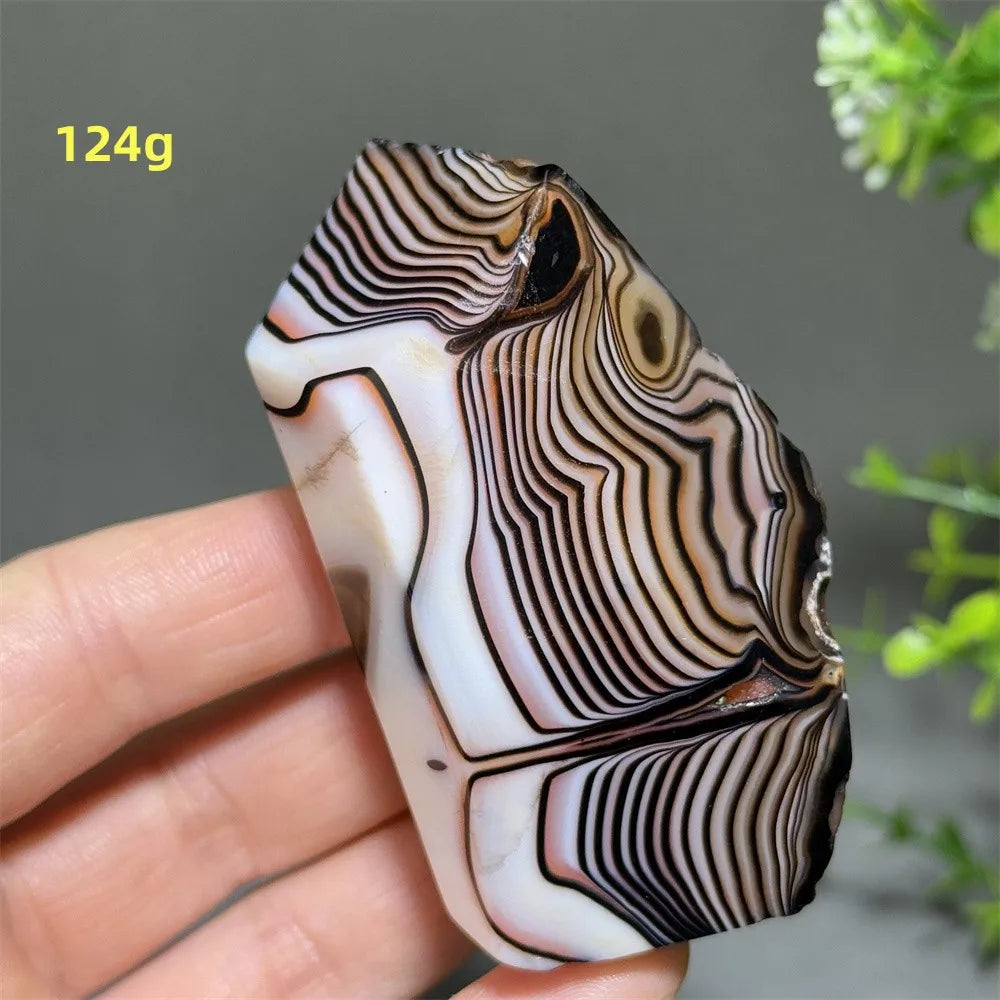 Black Striped Agate-ToShay.org