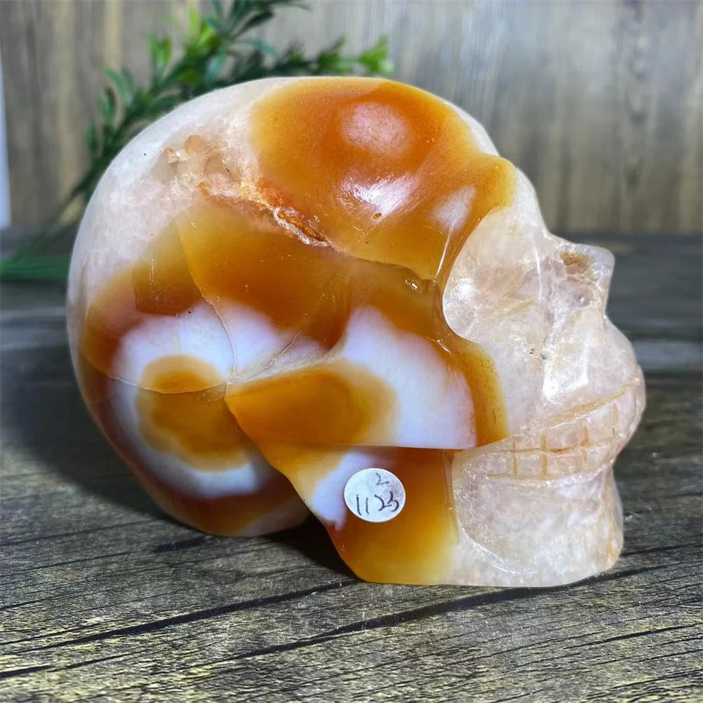 Red Agate Carnelian Skull-ToShay.org