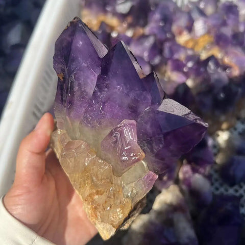Purple Amethyst Cluster-ToShay.org