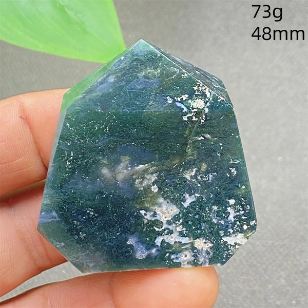 Green Water Plant Agate-ToShay.org