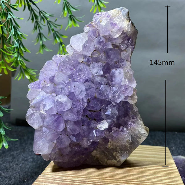 Purple Amethyst Geode-ToShay.org