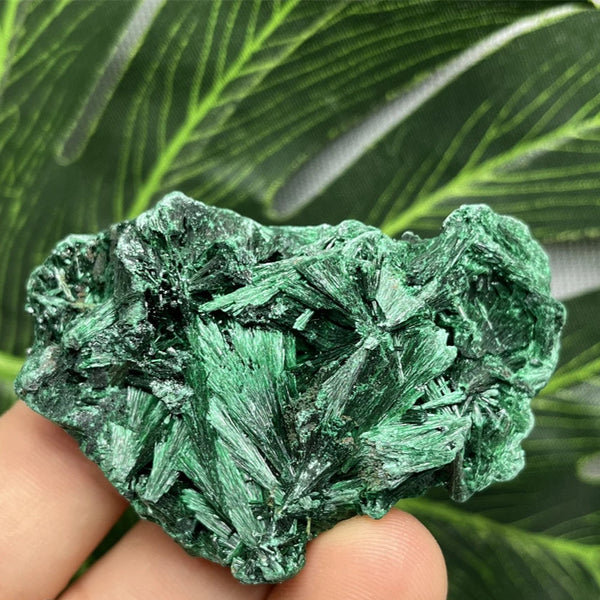 Green Malachite Silk Luster Crystal-ToShay.org