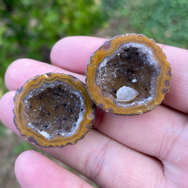 Mixed Agate Geode Egg-ToShay.org