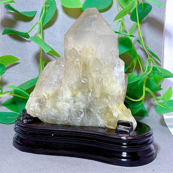 Clear Quartz Citrine Cluster-ToShay.org