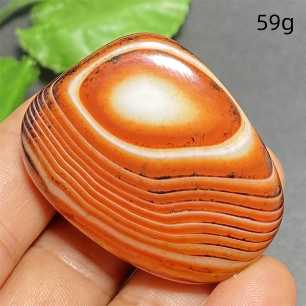 Orange Silk Lace Agate-ToShay.org
