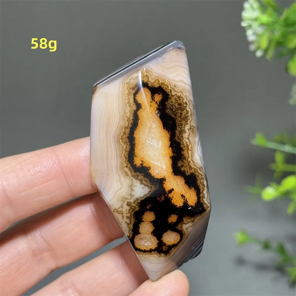 Black Striped Agate-ToShay.org