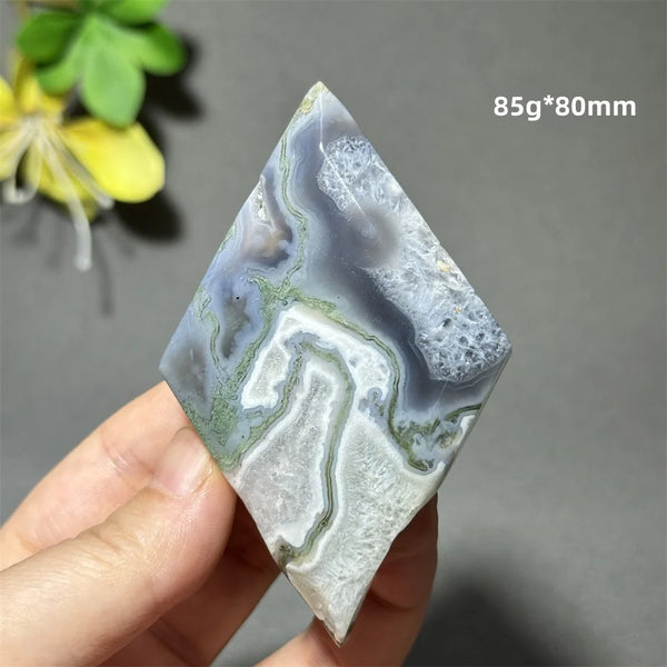 Green Aquatic Plant Agate-ToShay.org
