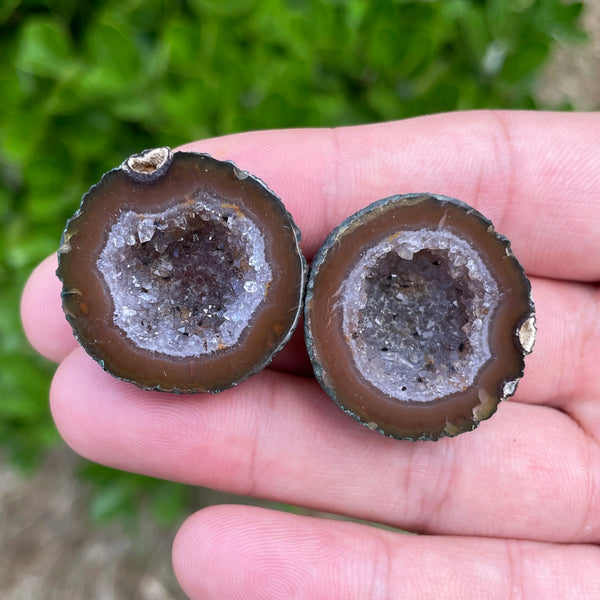 Red Sardonyx Geode Egg-ToShay.org