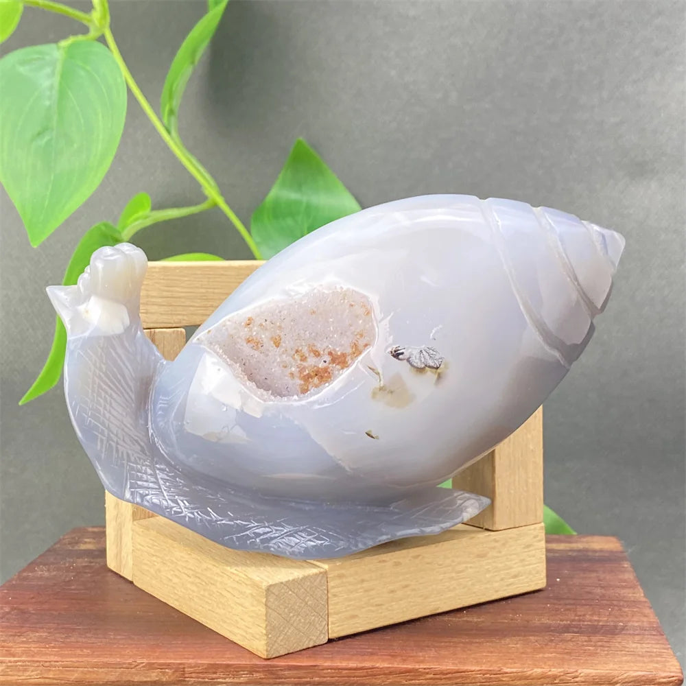 Grey Agate Geode Snail-ToShay.org