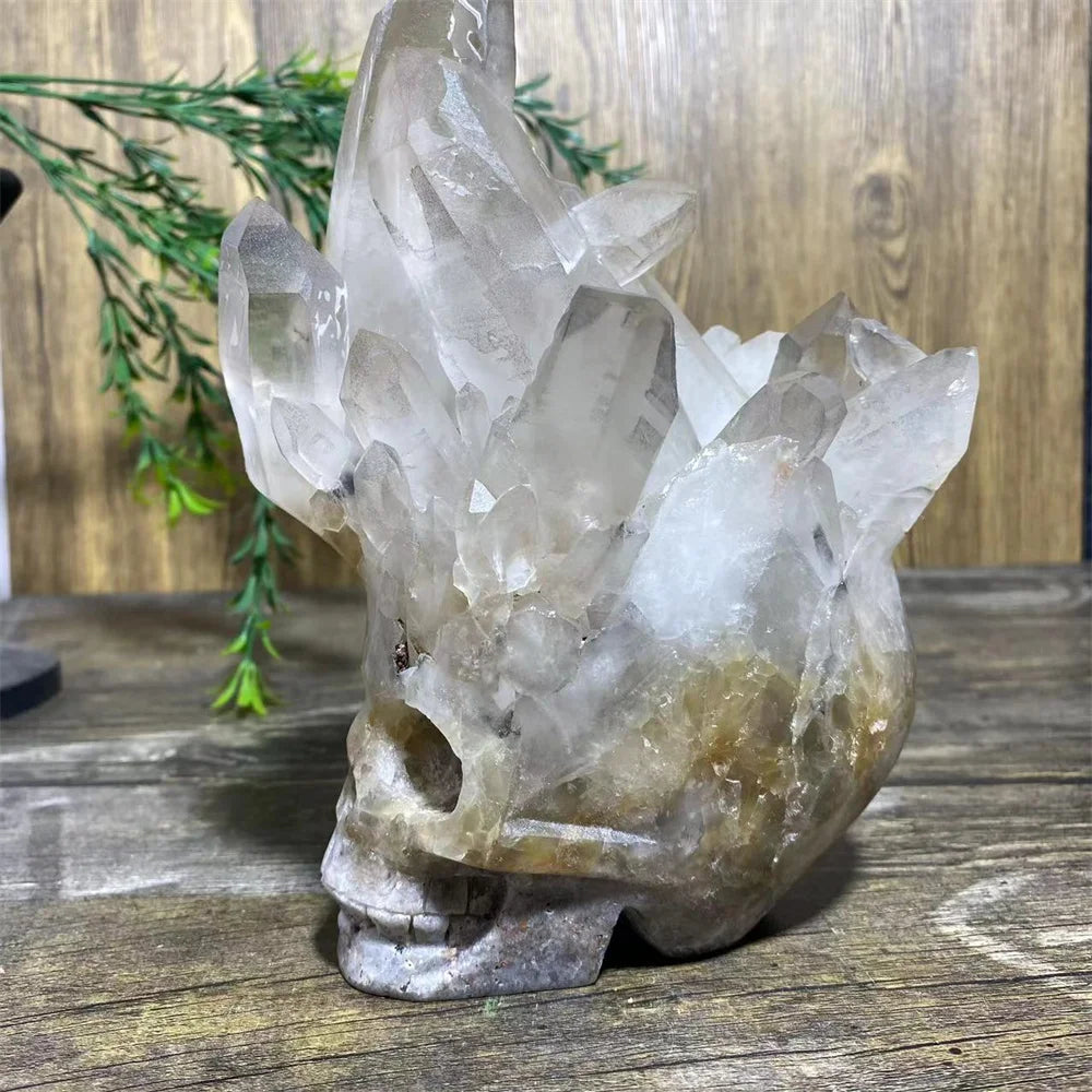 Clear Quartz Skull Cluster-ToShay.org