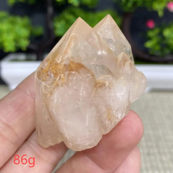 White Quartz Crystal Cluster-ToShay.org
