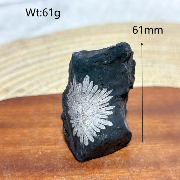 Black Chrysanthemum Raw Stone-ToShay.org