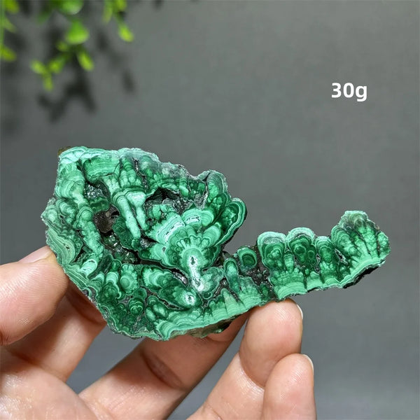 Green Malachite Slice-ToShay.org