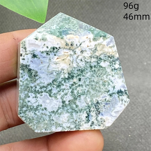 Green Water Plant Agate-ToShay.org